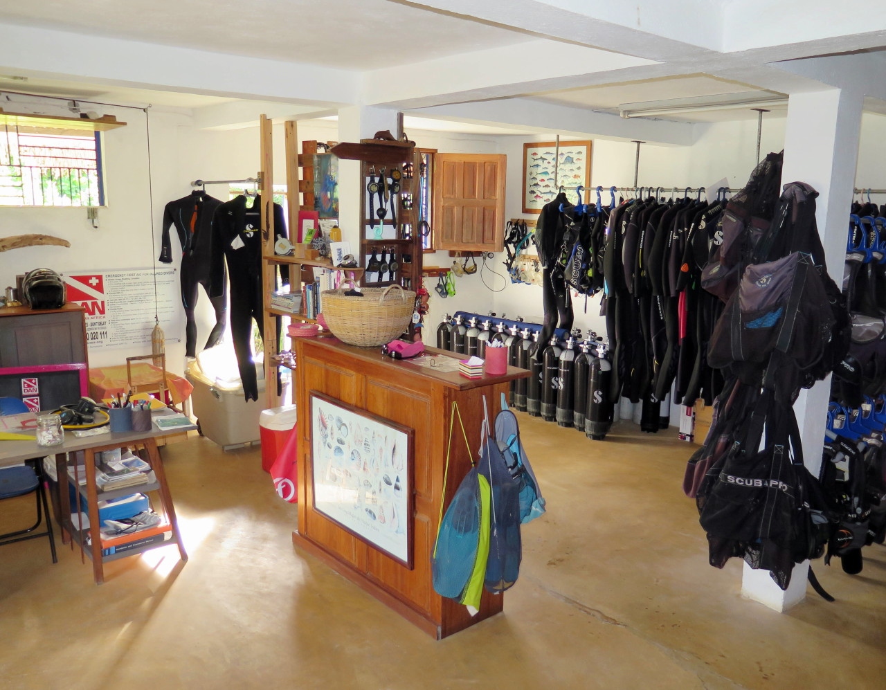 Dive Business For Sale