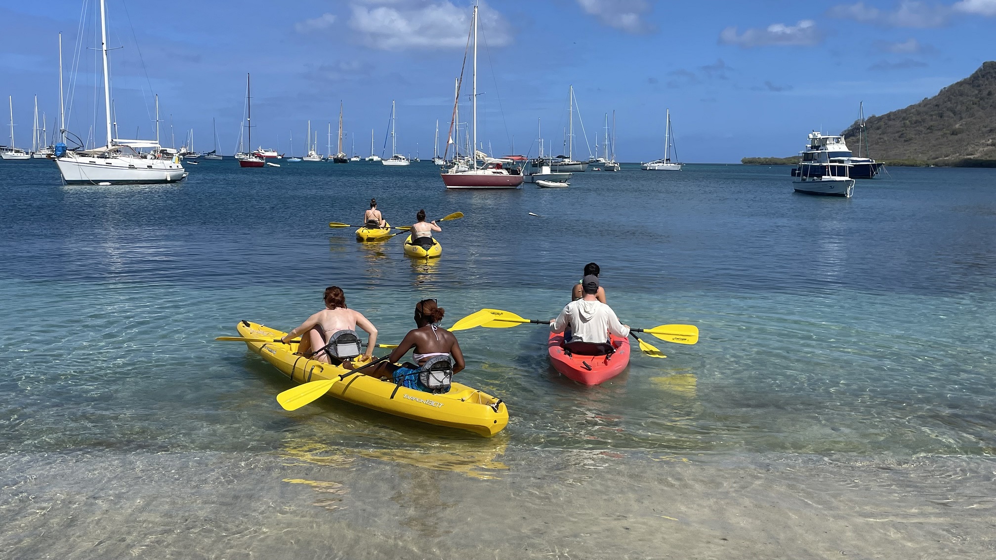 Dive Business For Sale