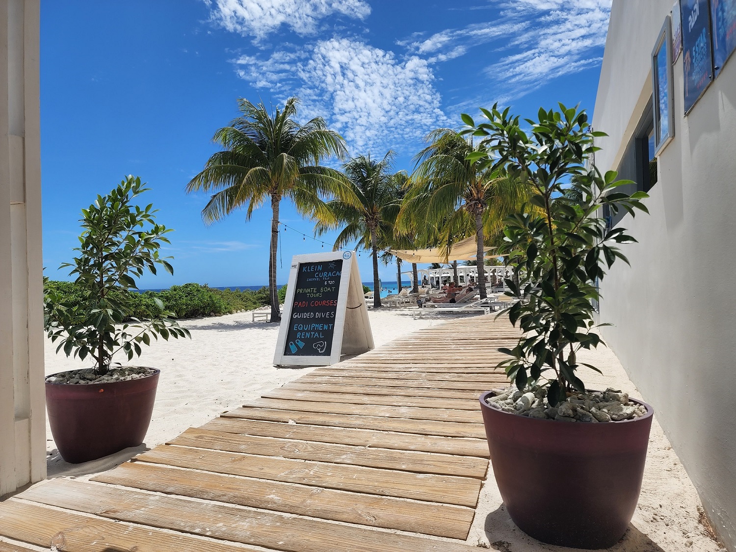 Dive Business For Sale